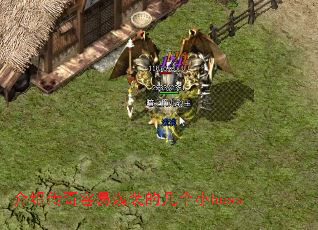 ܴױװļСboss