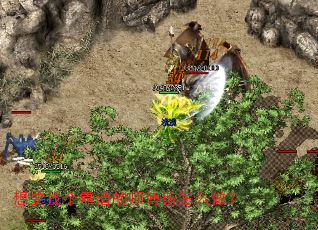 ҪҸ׵ʦô