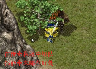 ڴ˽ӶܴЩô