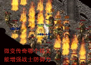 ΢䴫ĸǿսʿ