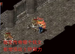 ΢䴫ĸǿսʿ