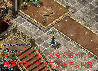 Ѫ˽ޣҼɴ