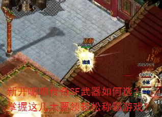 ¿ུSFѡ⼸ҪɳưϷ