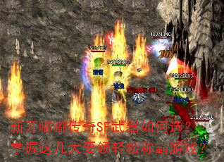 ¿ུSFѡ⼸ҪɳưϷ