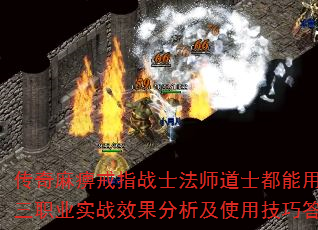 ԽָսʿʦʿְҵʵսЧʹüɴ