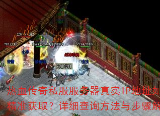 Ѫ˽ʵIPַξ׼ȡϸѯ벽