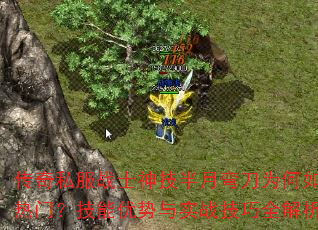 ˽սʿ񼼰䵶Ϊţʵսȫ