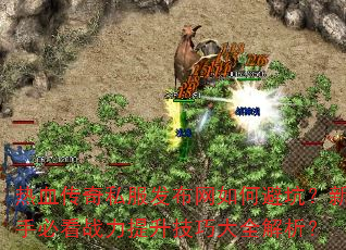Ѫ˽αܿӣֱؿսɴȫ