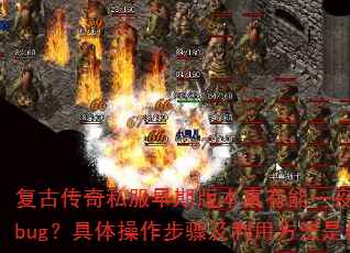 Ŵ˽ڰ汾һҹbug輰÷ʲô