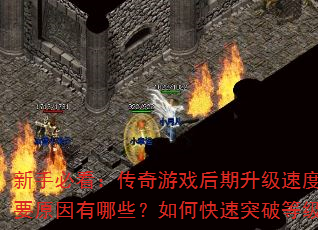 ֱؿϷٶȱҪԭЩοͻƵȼƿ