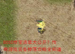 BOSS嵥󹫿Ϸװ乥ȫ֪