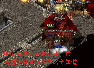 BOSS嵥󹫿Ϸװ乥ȫ֪