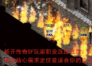 ¿SFְҵѡ⣺θݺλʺɣ