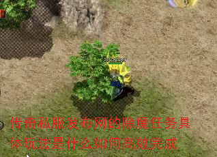˽ĳħ淨ʲôθЧ