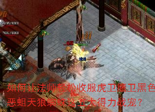 ÷ʦշӥɫ֩ս裿