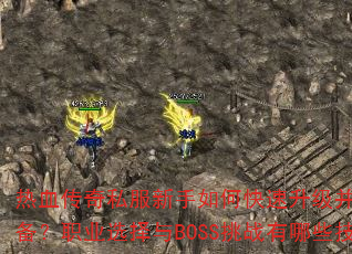 Ѫ˽οȡװְҵѡBOSSսЩɣ