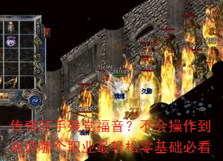SFֲеѡĸְҵؿ