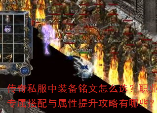 ˽װôѡְҵרЩ