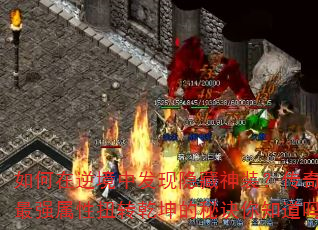 澳зװװǿŤתǬؾ֪