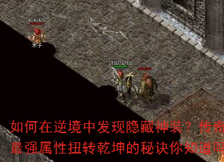 澳зװװǿŤתǬؾ֪