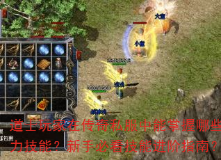ʿڴ˽Щǿܣֱؿָܽϣ