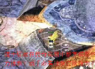 ʿڴ˽Щǿܣֱؿָܽϣ