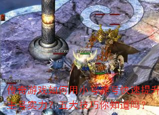 ϷСſʵ֪
