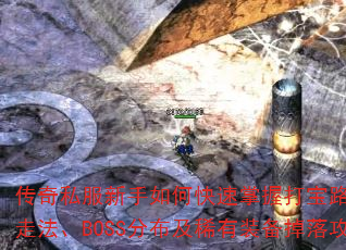 ˽οմ·ߣͼ߷BOSSֲϡװ乥ԣ