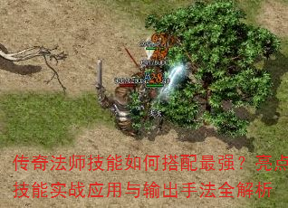淨ʦδǿ㼼ʵսӦַȫ