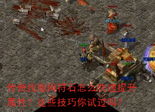 ҷʯôԣЩԹ