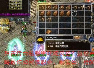 ڴ˽߳ƣݸٳɹԽѡְҵˢװBOSS