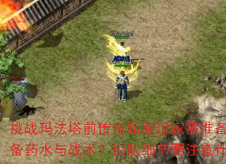 ս귨ǰ˽׼ЩװҩˮսϸҪעʲô