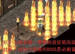 ұؿҪЧȡ߼װϡвϣϷЩBOSSǱˢѡ