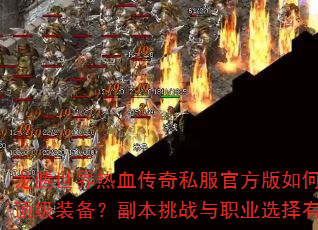 Ѫ˽ٷοȡװսְҵѡЩɣ