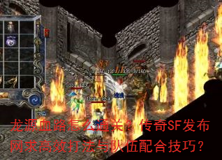 ԴѪ·ôͨأSFЧϼɣ