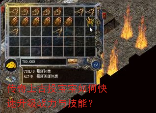 ϹͶοս뼼ܣ