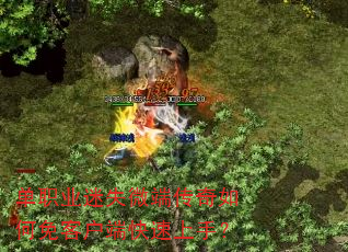 ְҵʧ΢˴ͻ˿֣