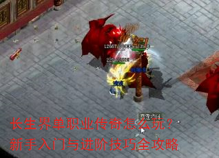 絥ְҵô棿׼ȫ