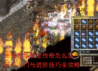 絥ְҵô棿׼ȫ