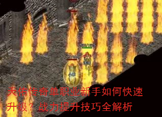 Ӵ浥ְҵοսȫ