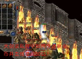 콣¼˽οˢҲBOSS