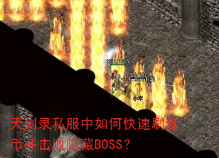 콣¼˽οˢҲBOSS