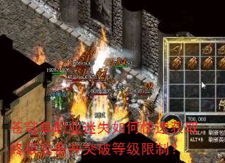 񷵥ְҵʧοٻȡռװͻƵȼƣ