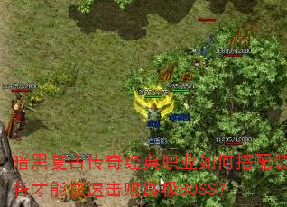 ڸŴ澭ְҵδװܿٻռBOSS