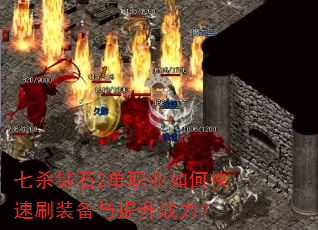 ɱʯ2ְҵοˢװս