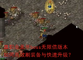 ְҵ޾bossޱ汾θЧˢװ