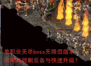 ְҵ޾bossޱ汾θЧˢװ