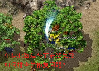 ְҵ΢˲װʧŲ鲢޸⣿