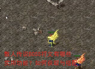 ɢ˴˵BOSSЩʵùܣλȡ䣿