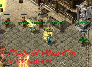 ͨεְҵοˢBOSSװ